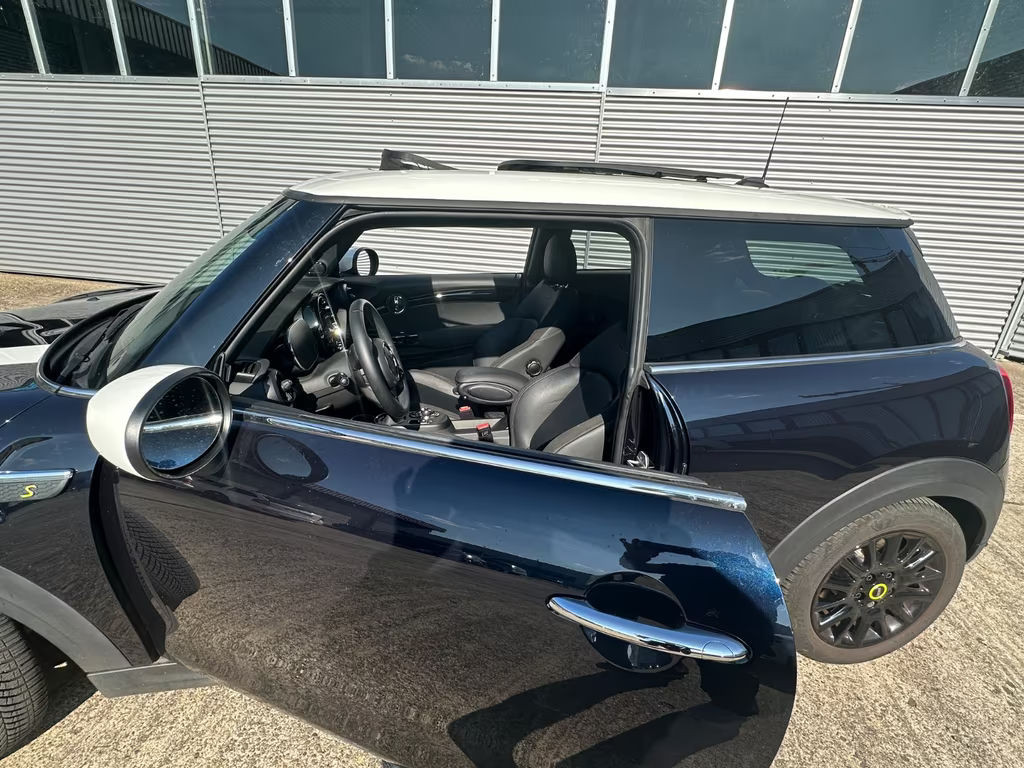 Mini Mini Electric