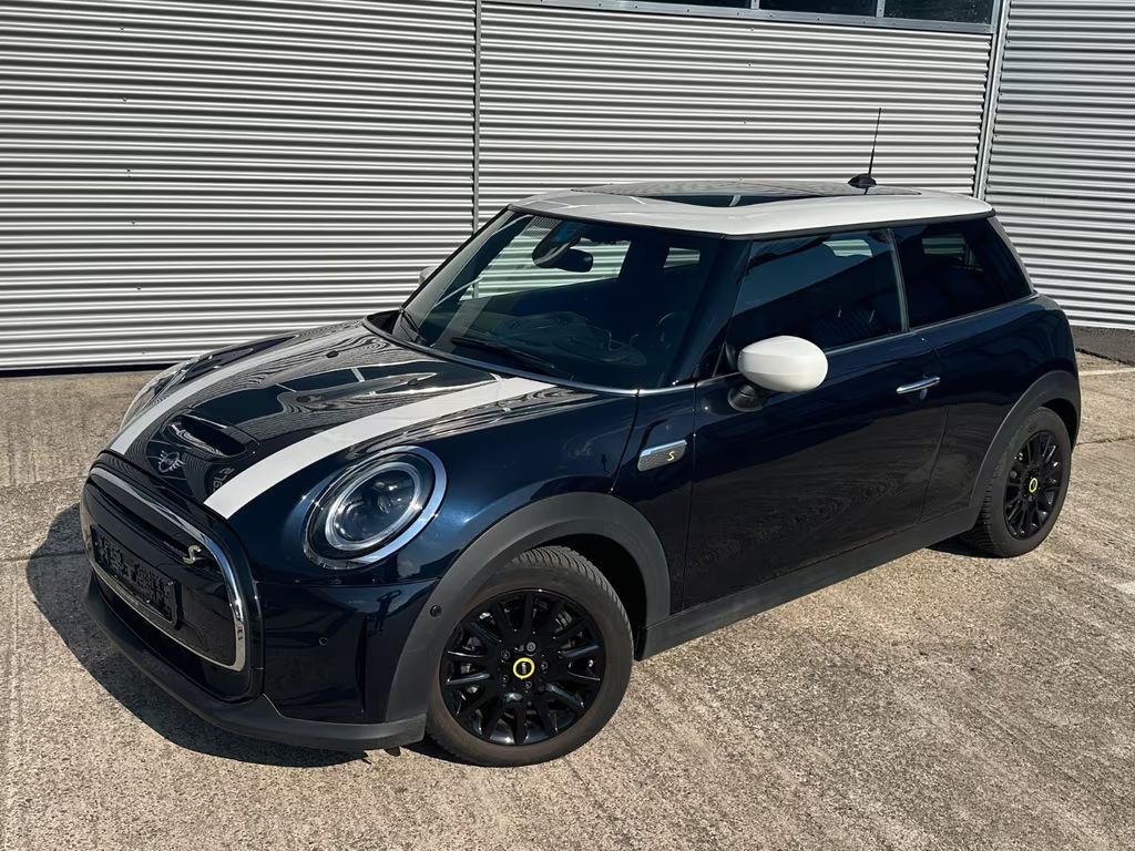 Mini Mini Electric