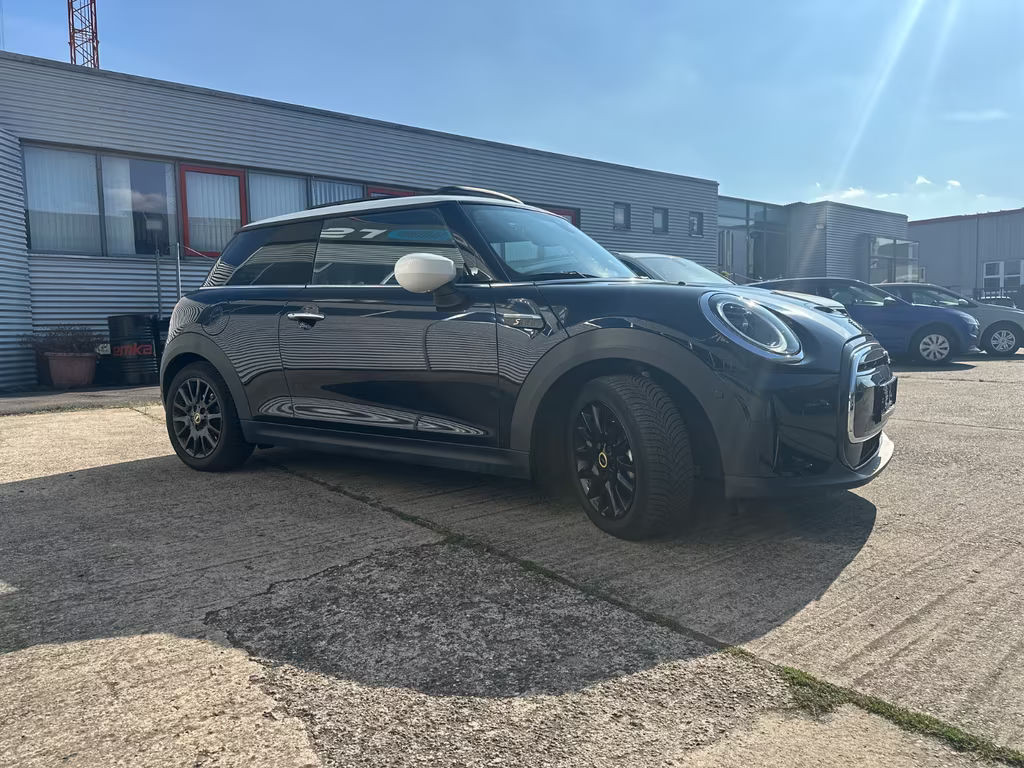 Mini Mini Electric
