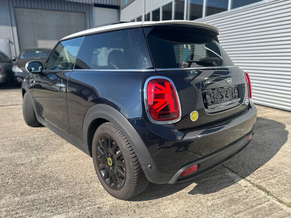 Mini Mini Electric