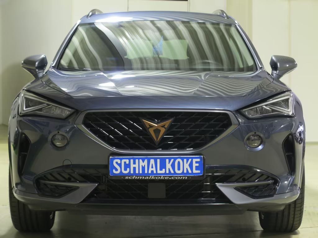 Cupra Formentor TDI 2.0 SCR AHK Navi ACC DAB