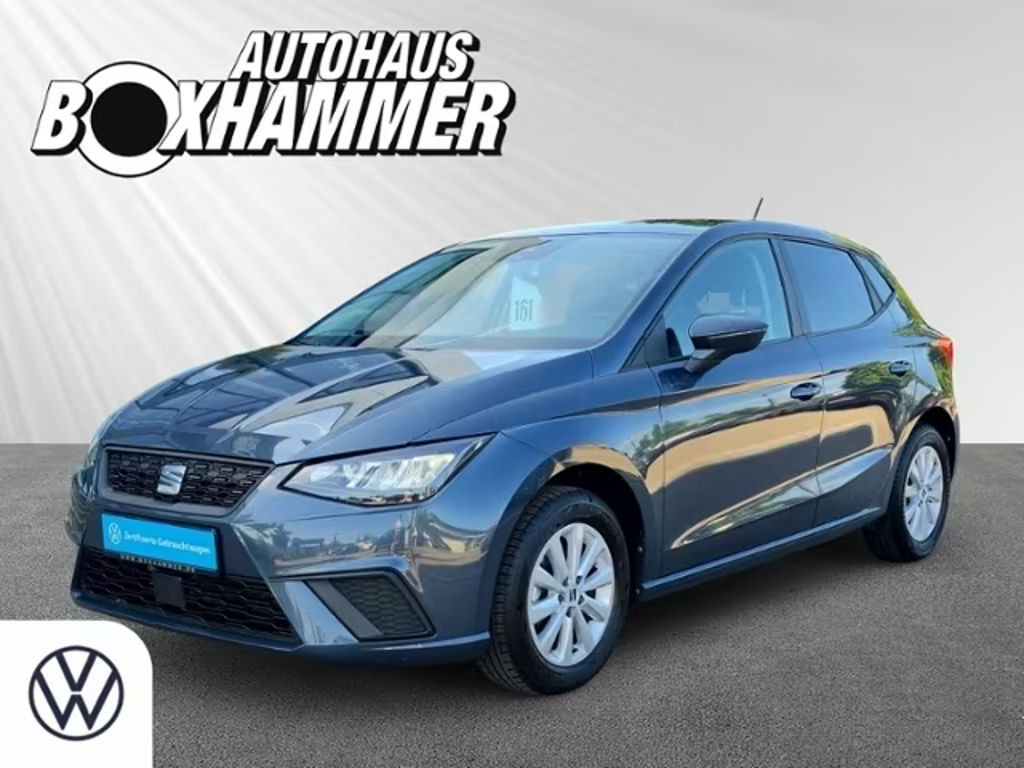 Seat Ibiza Style