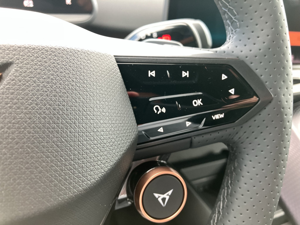 Cupra Tavascan
