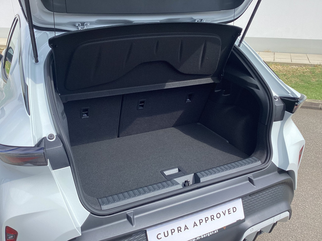 Cupra Raval