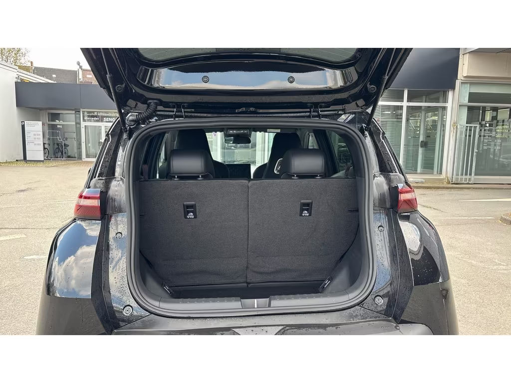 BYD Dolphin Surf