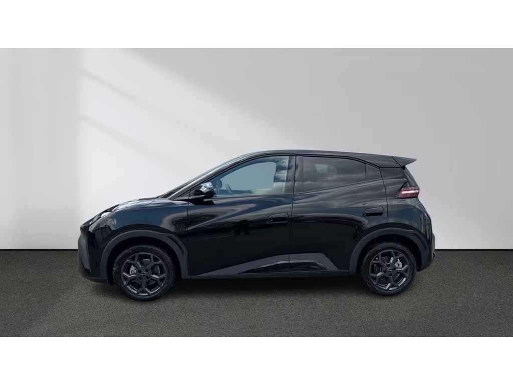 BYD Dolphin Surf