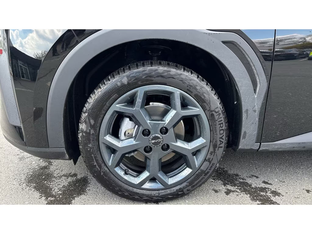 BYD Dolphin Surf