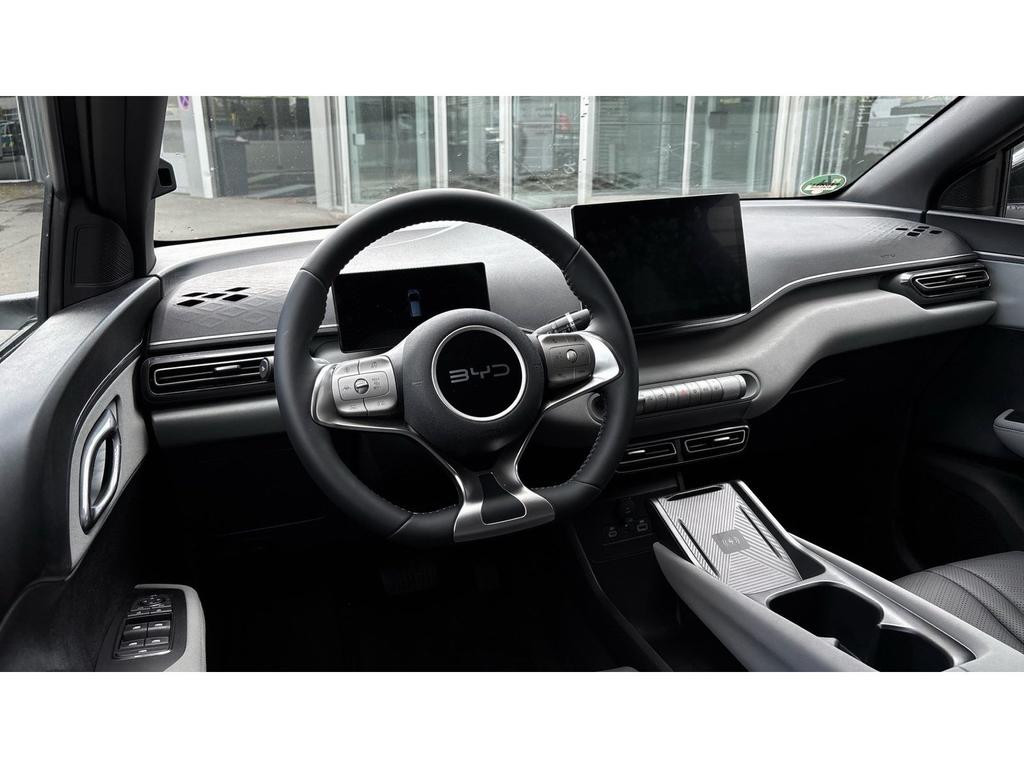 BYD Dolphin Surf