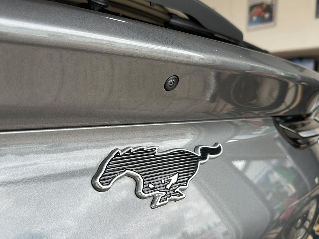 Ford Mustang Mach-E
