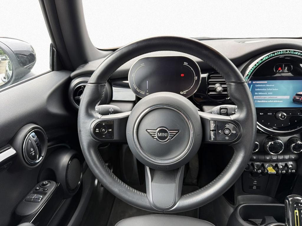 Mini Mini Electric