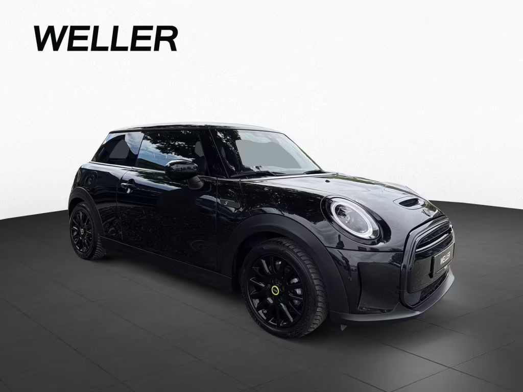Mini Mini Electric