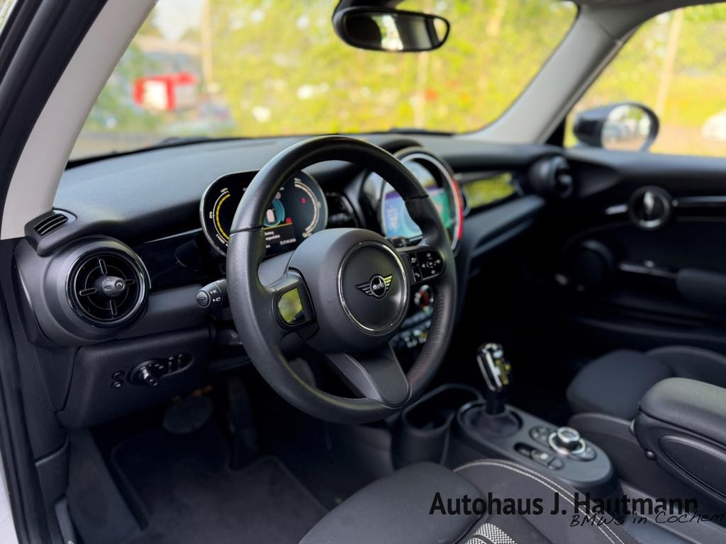 Mini Mini Electric