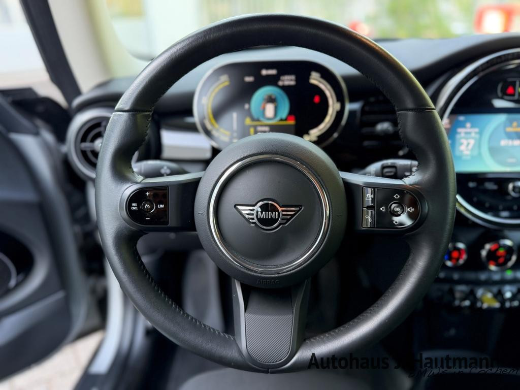Mini Mini Electric
