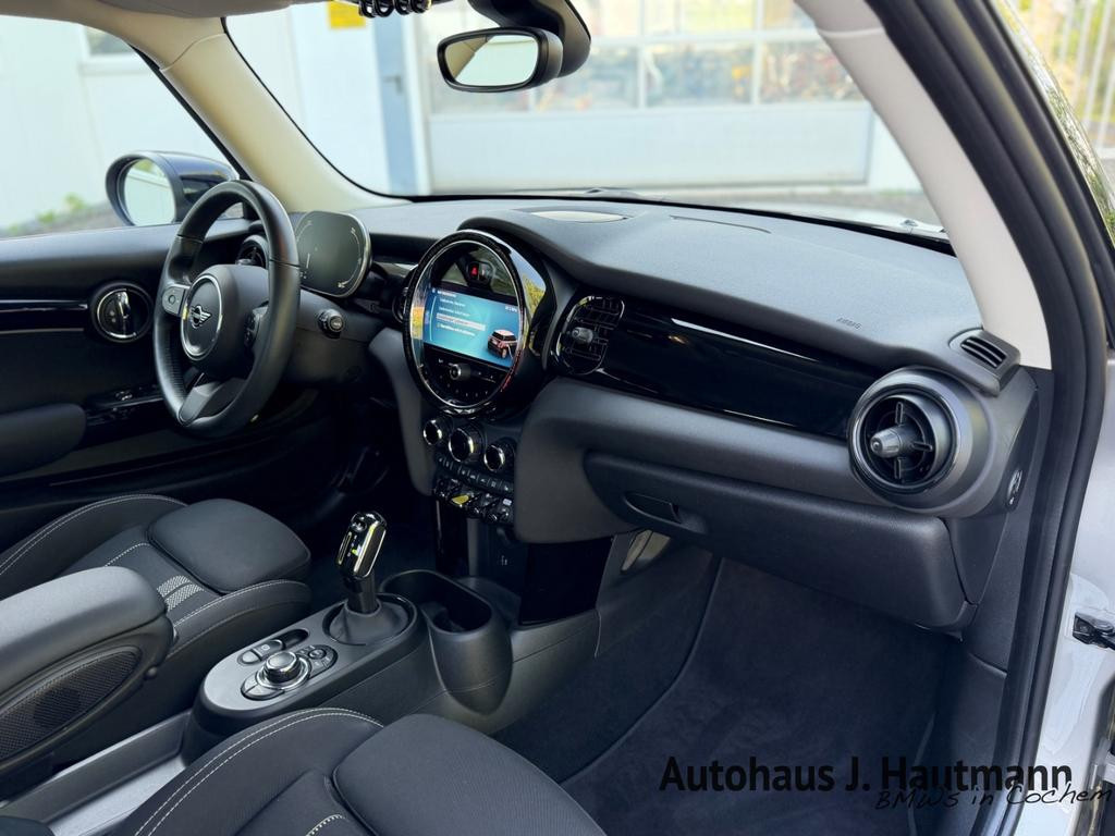 Mini Mini Electric