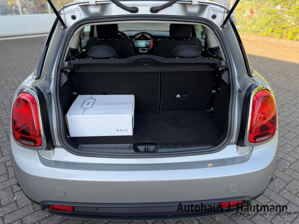 Mini Mini Electric