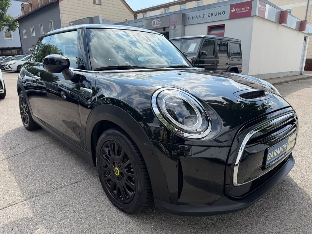 Mini Mini Electric
