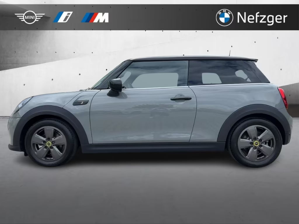 Mini Mini Electric