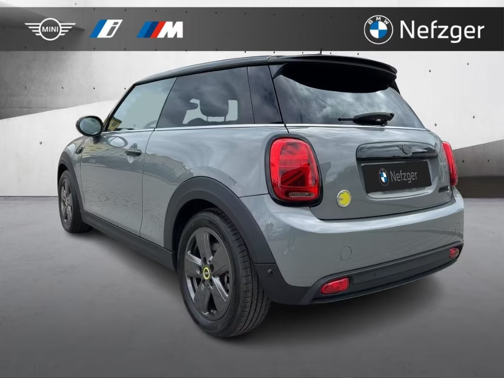 Mini Mini Electric