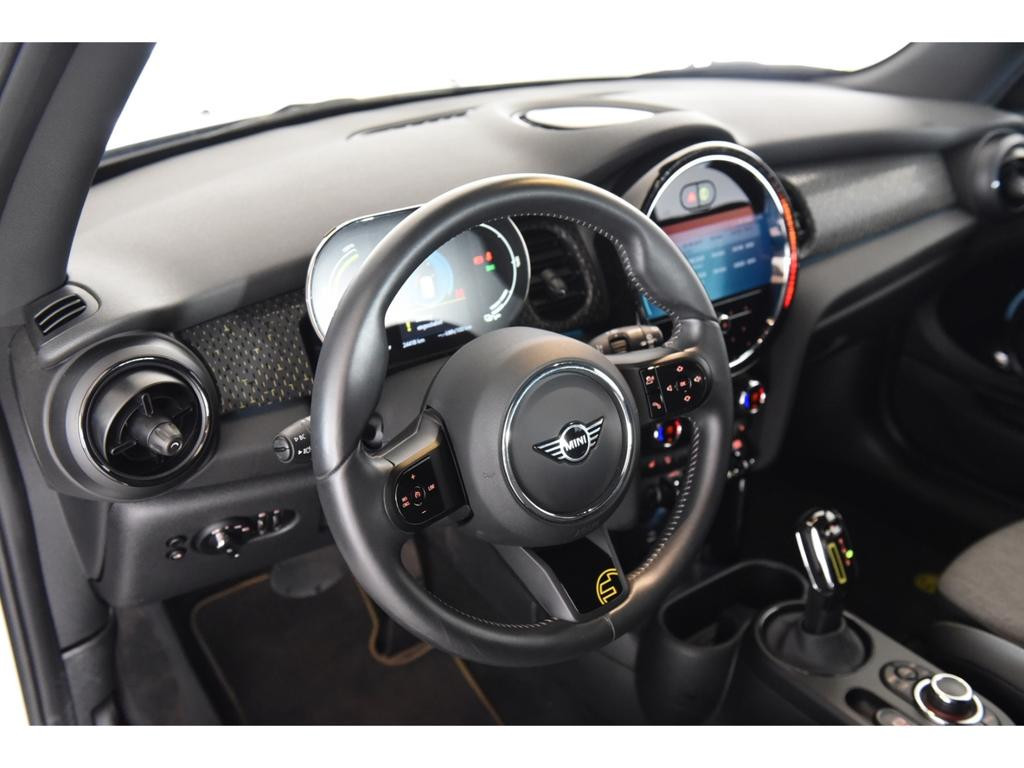 Mini Mini Electric