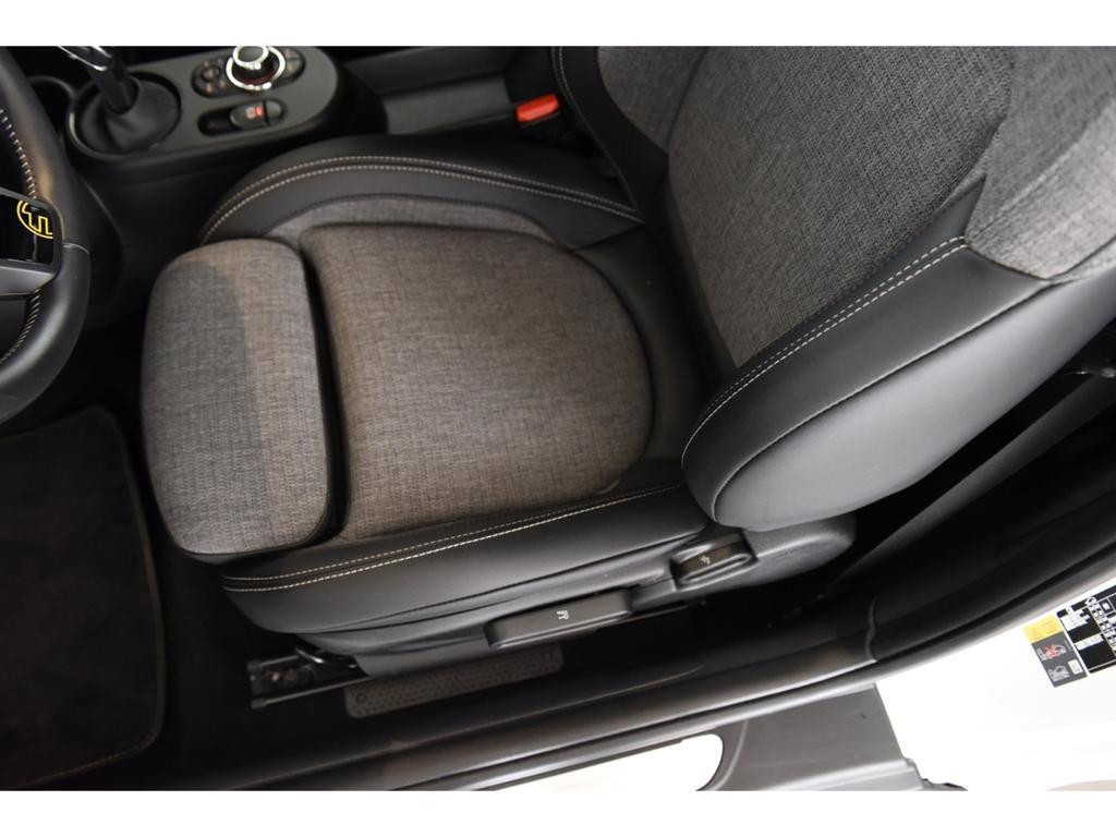 Mini Mini Electric