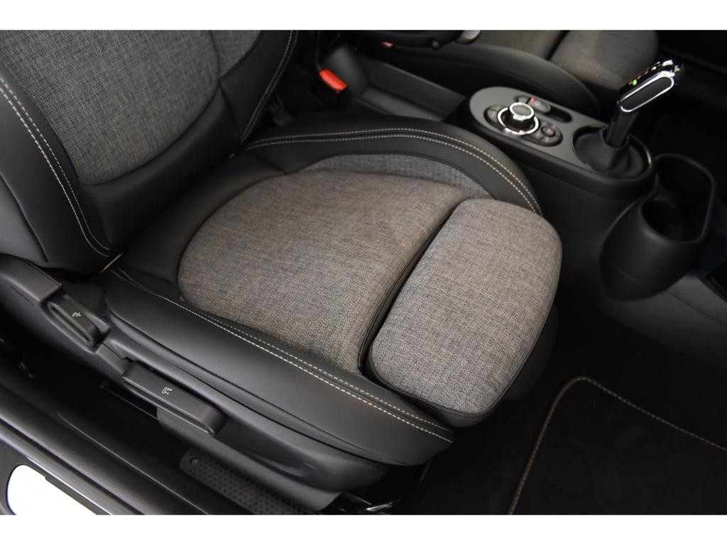 Mini Mini Electric