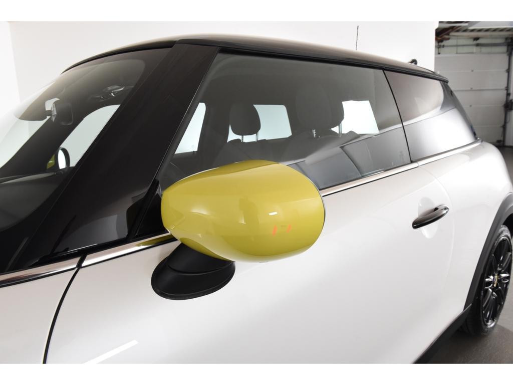 Mini Mini Electric