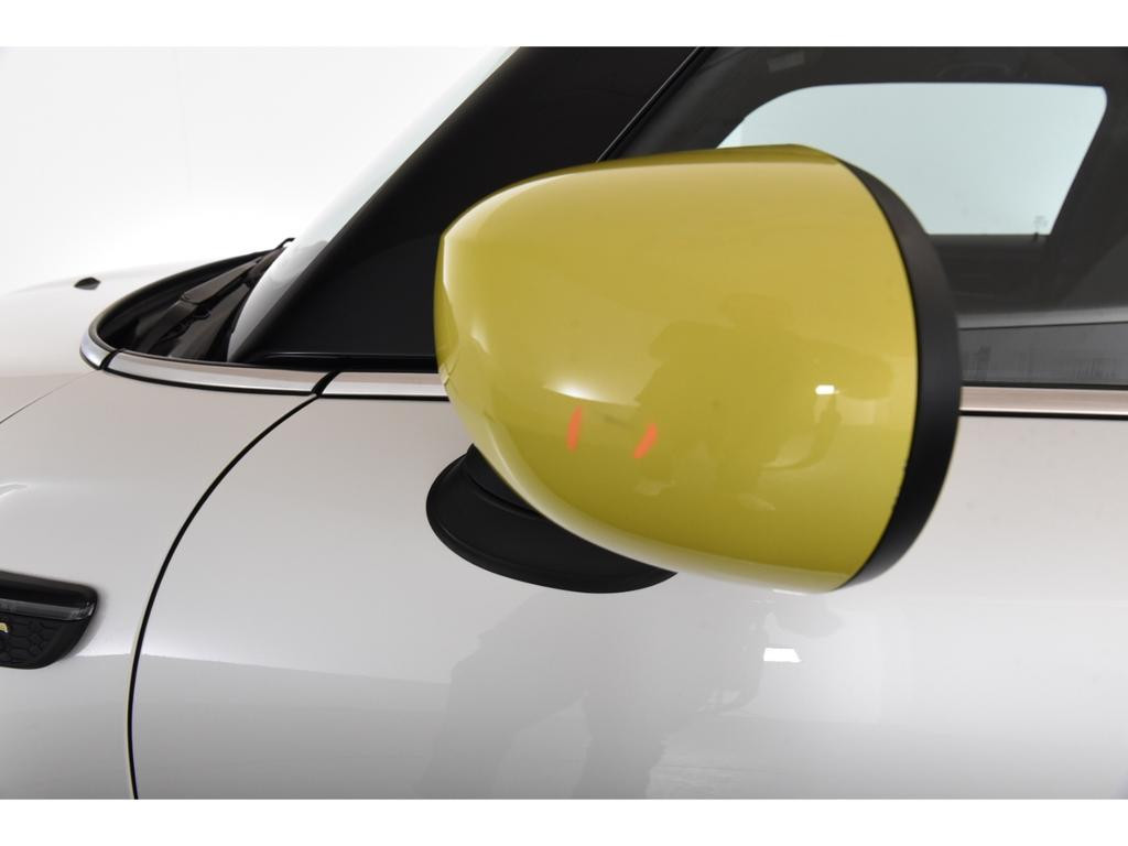 Mini Mini Electric