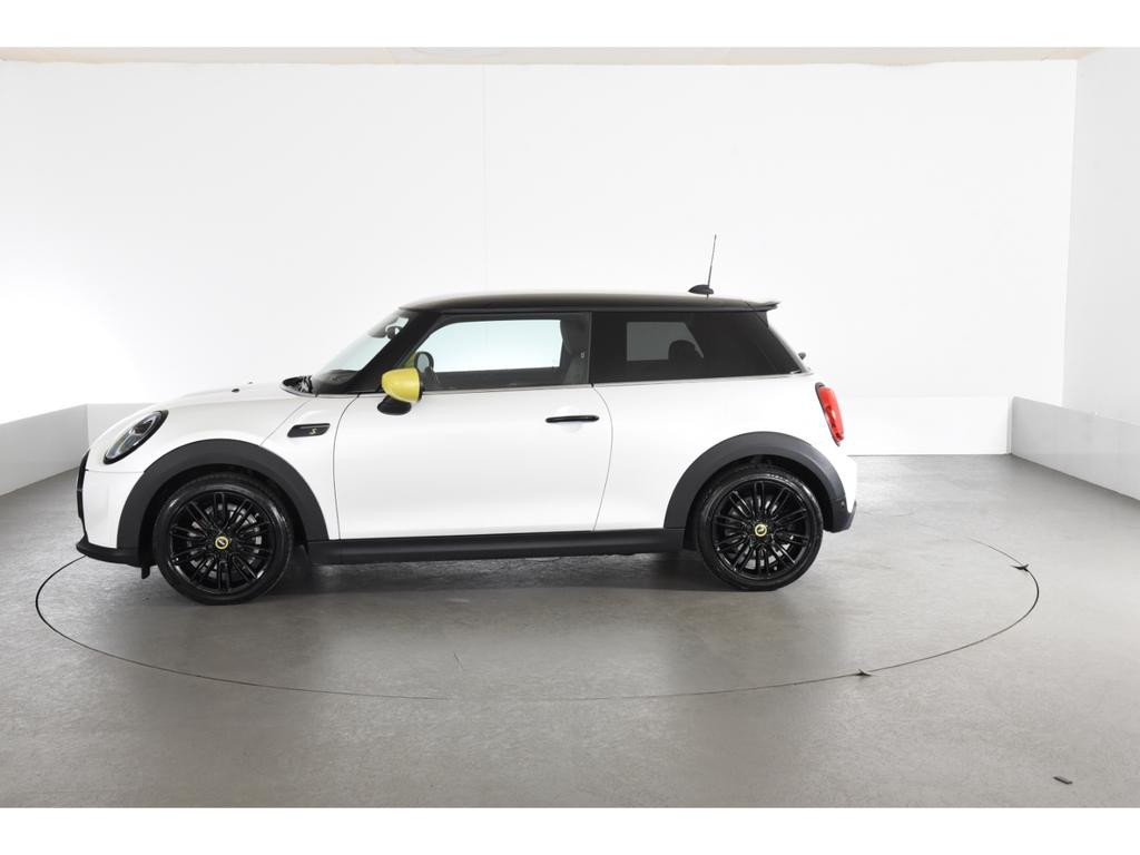 Mini Mini Electric