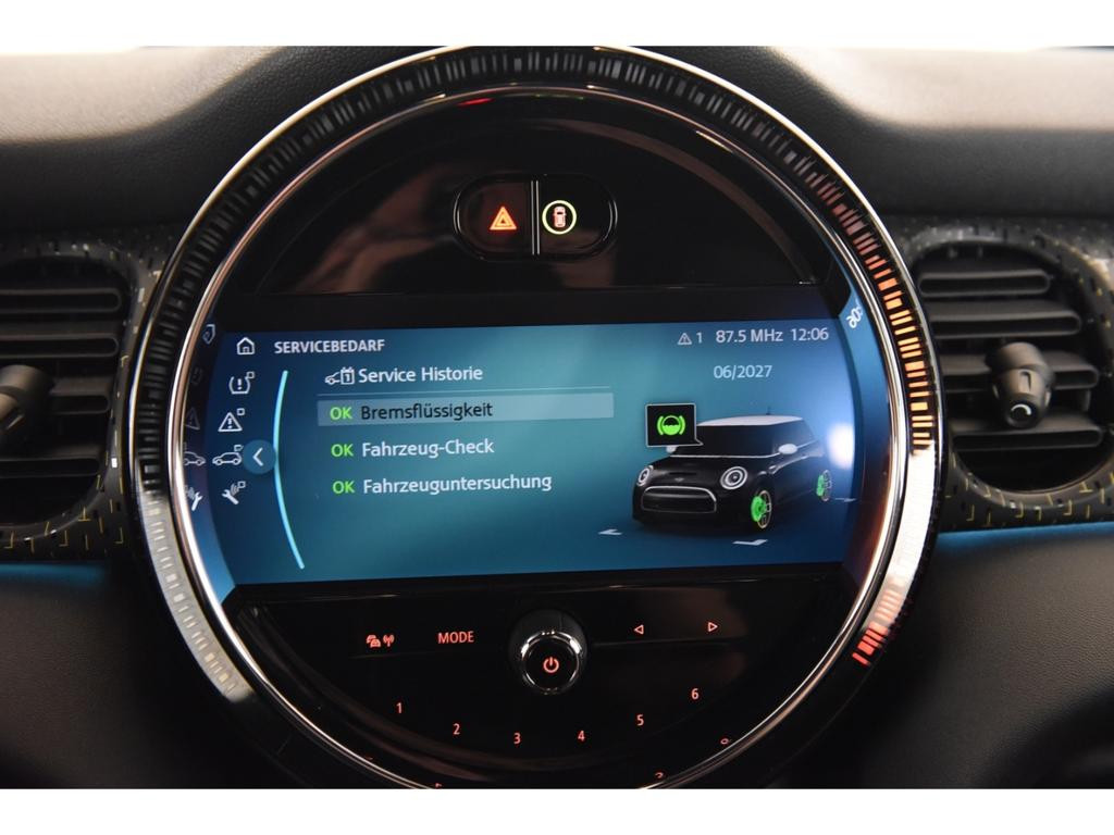Mini Mini Electric