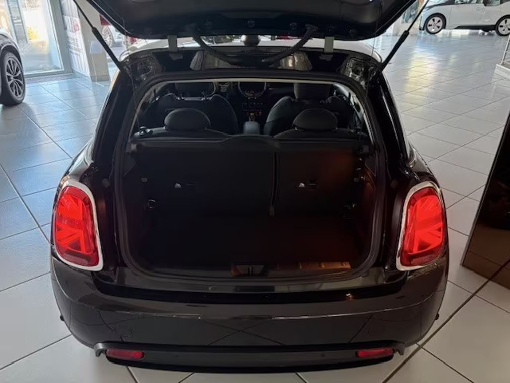 Mini Mini Electric