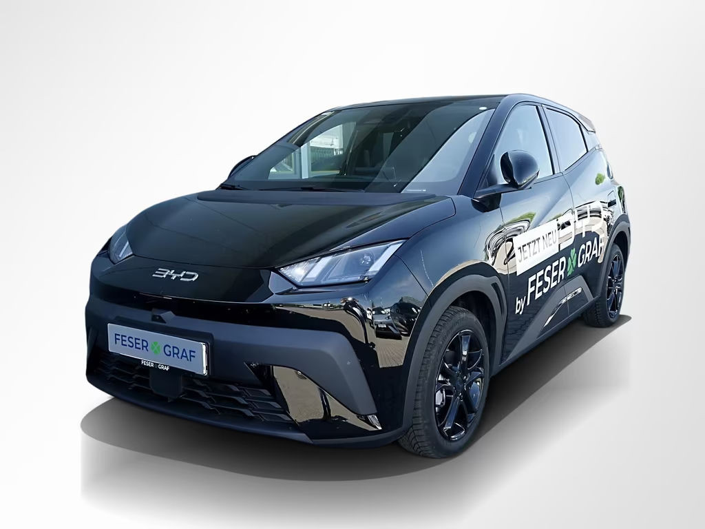 BYD Dolphin