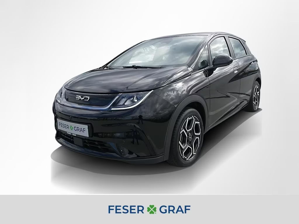 BYD Dolphin Comfort