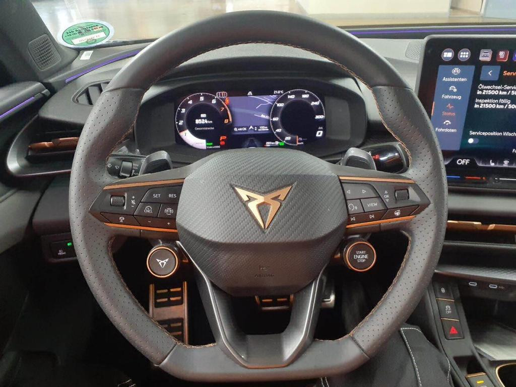 Cupra Terramar