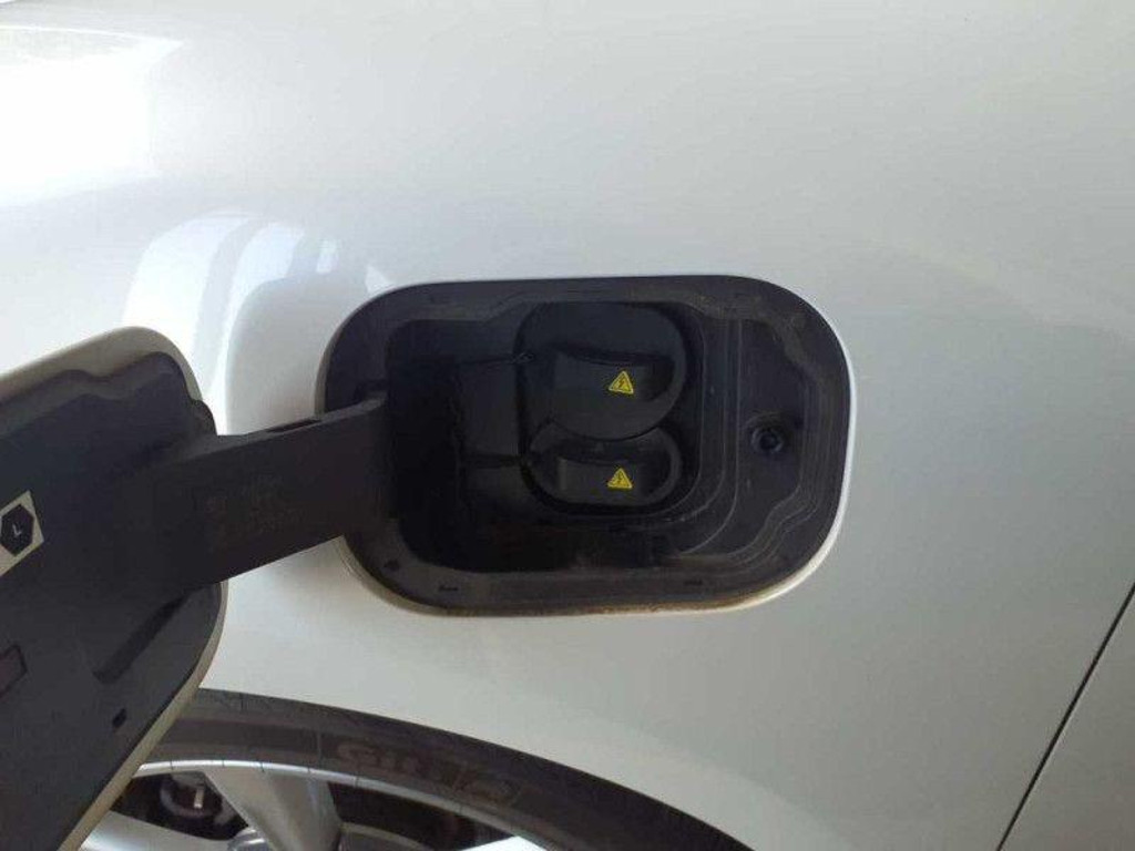 Ora Funky Cat
