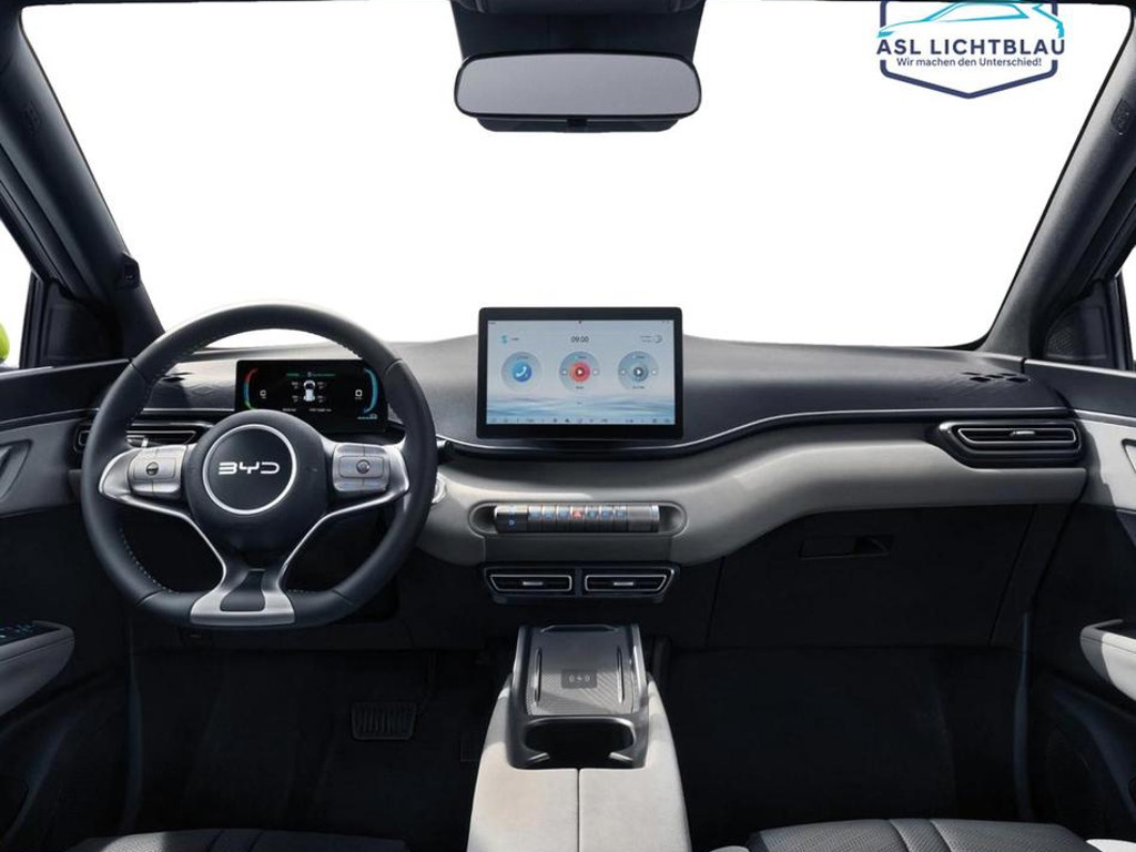 BYD Dolphin Surf