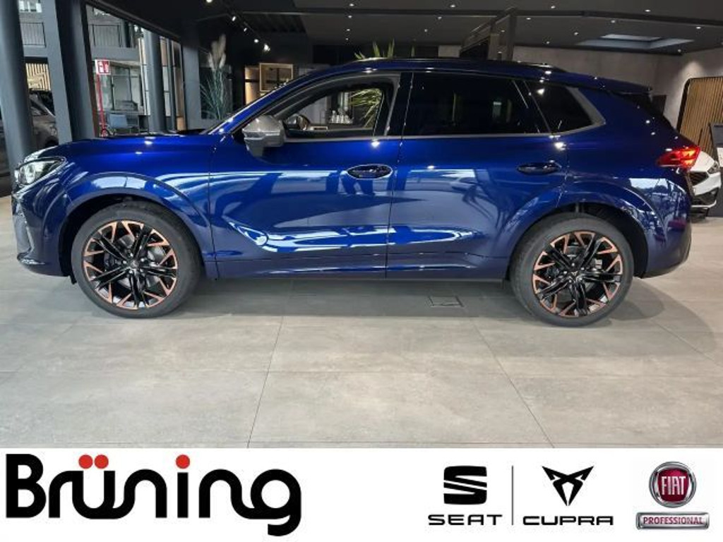 Cupra Terramar VZ