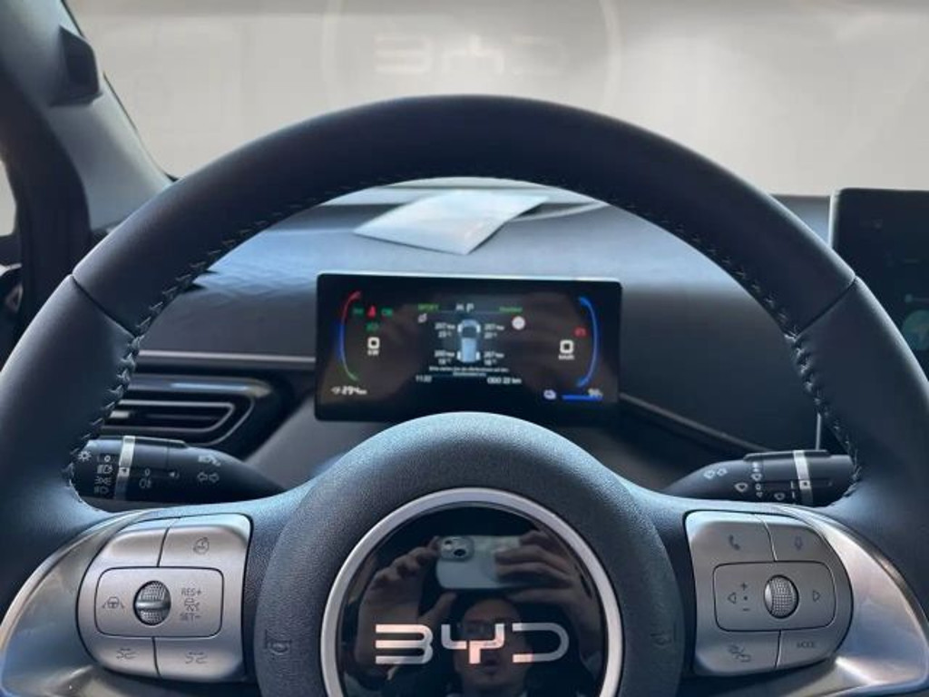 BYD Dolphin Surf