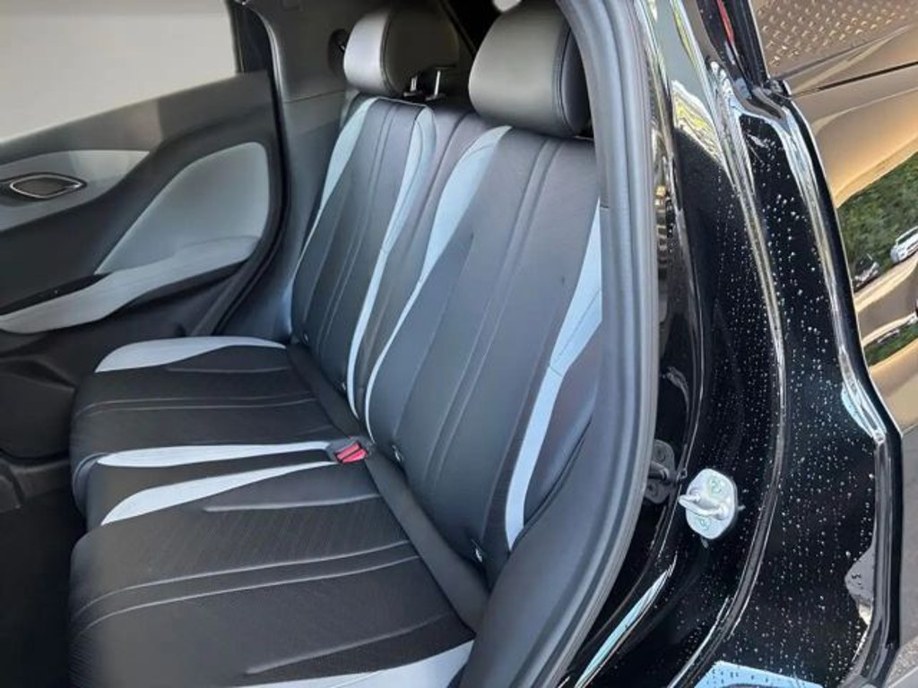 BYD Dolphin Surf