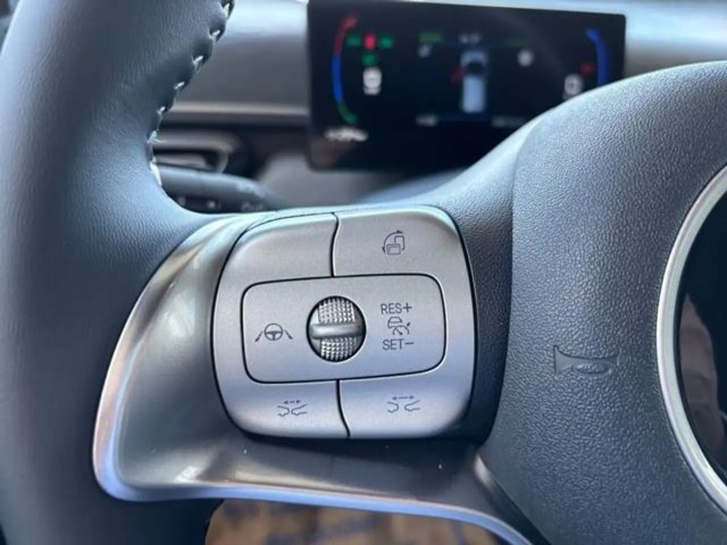 BYD Dolphin Surf
