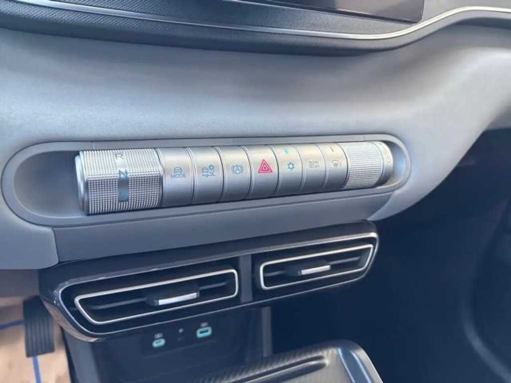 BYD Dolphin Surf