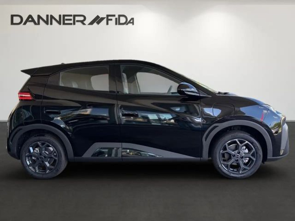 BYD Dolphin Surf
