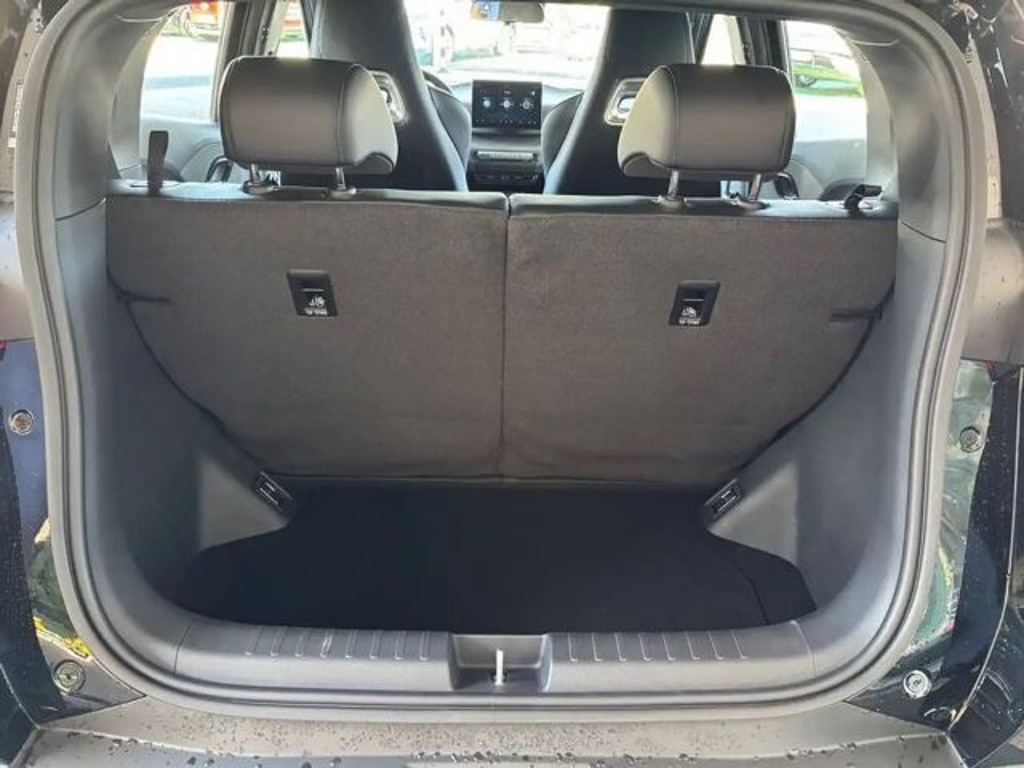 BYD Dolphin Surf