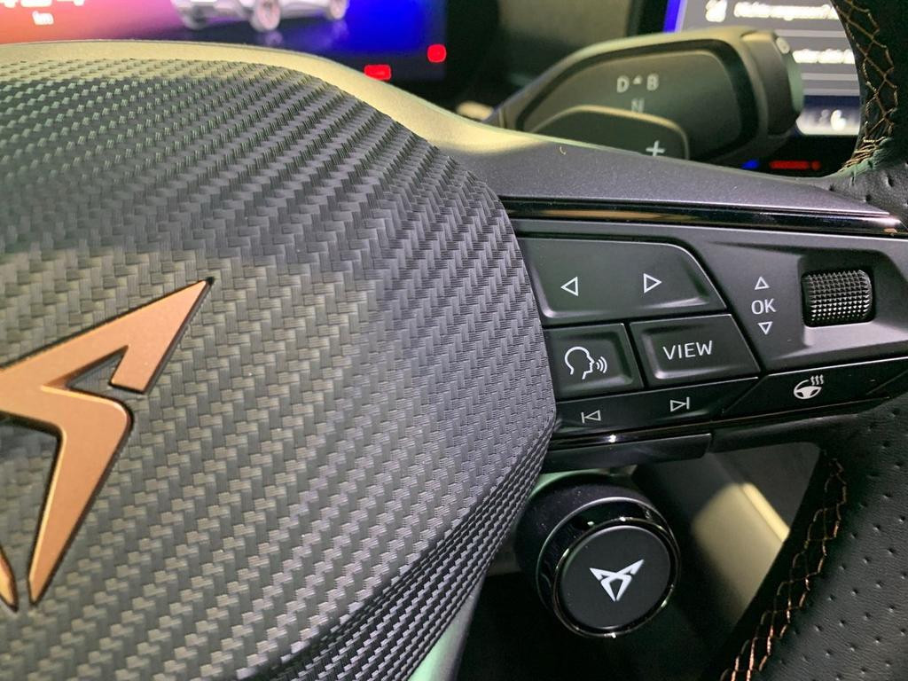 Cupra Raval