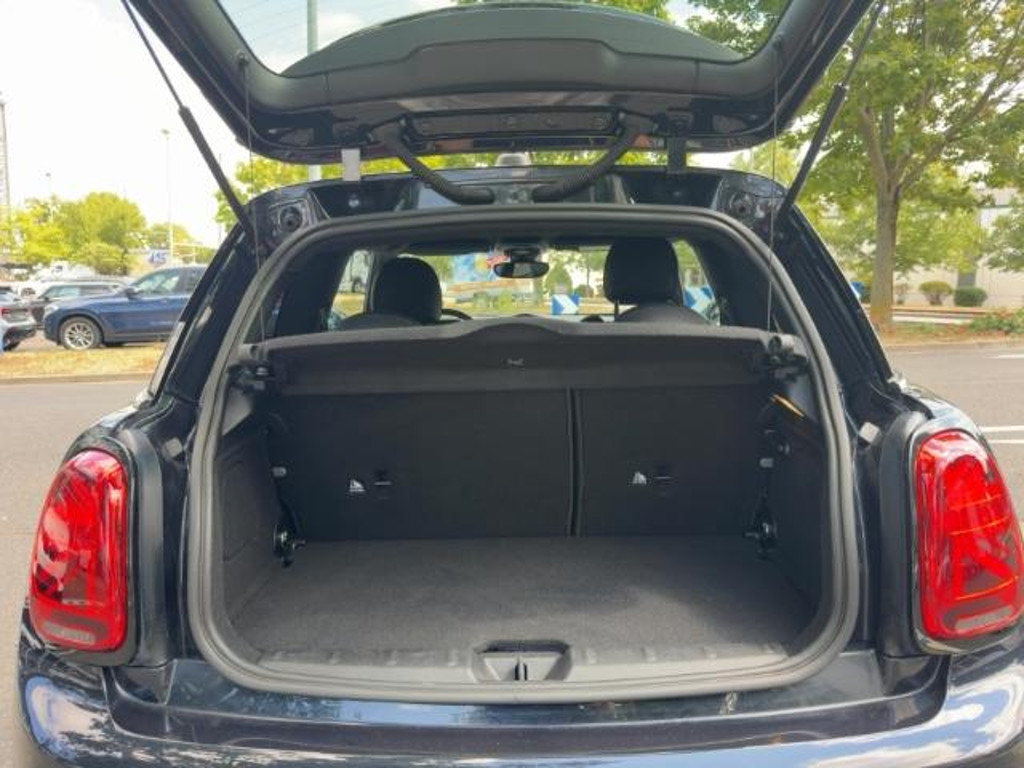 Mini Mini Electric