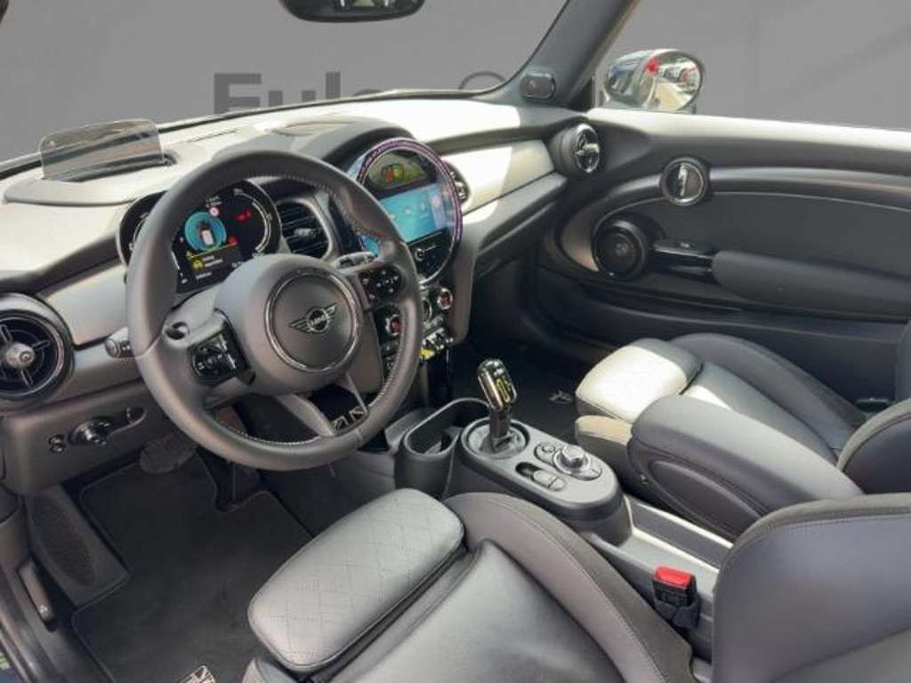 Mini Mini Electric