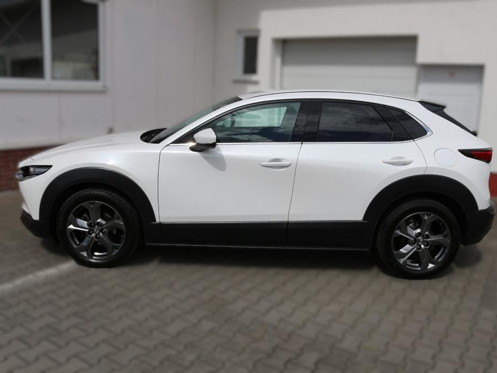 Mazda CX-30 Kangei Head-up-Display u. 360° Kamera