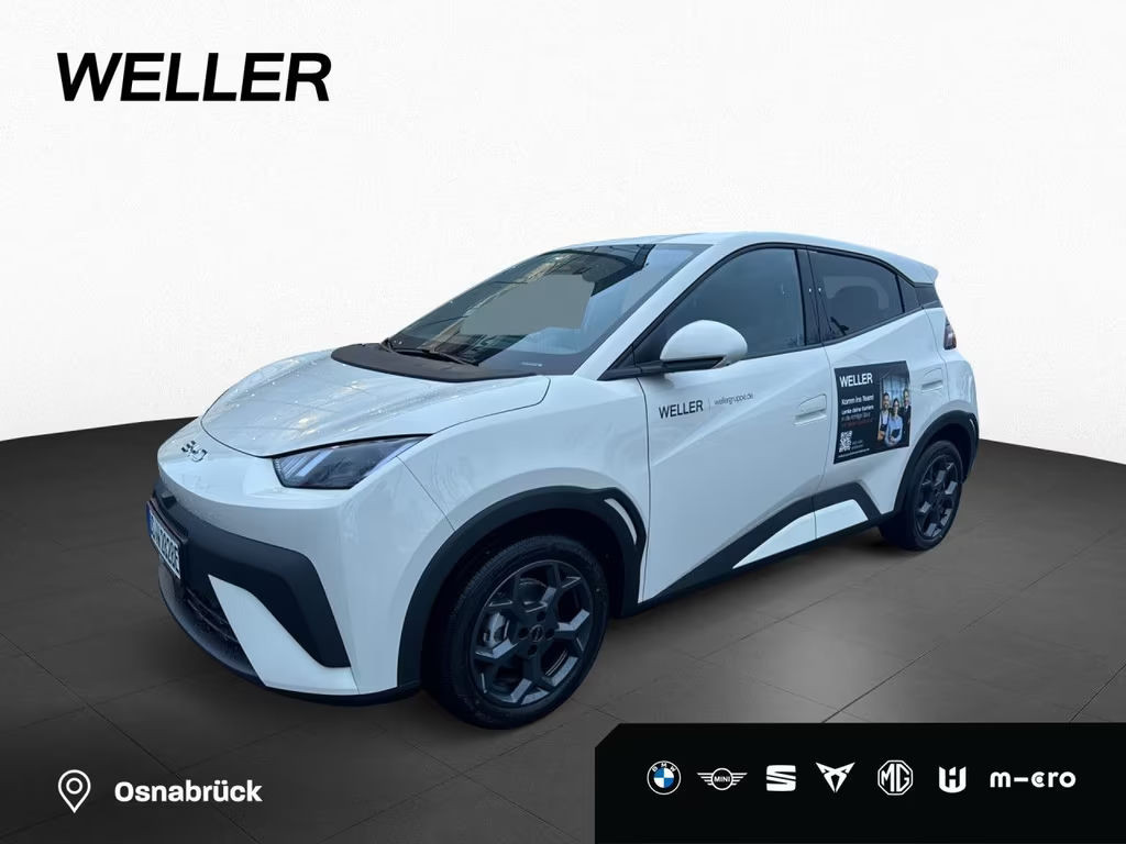 BYD Dolphin Comfort