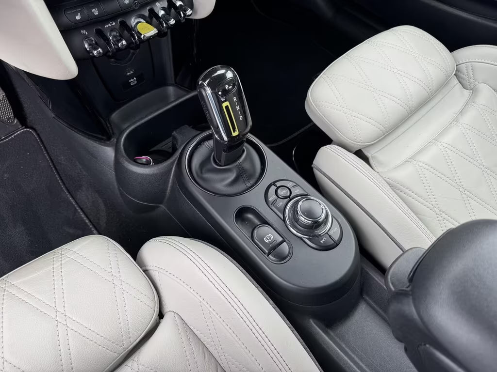 Mini Mini Electric