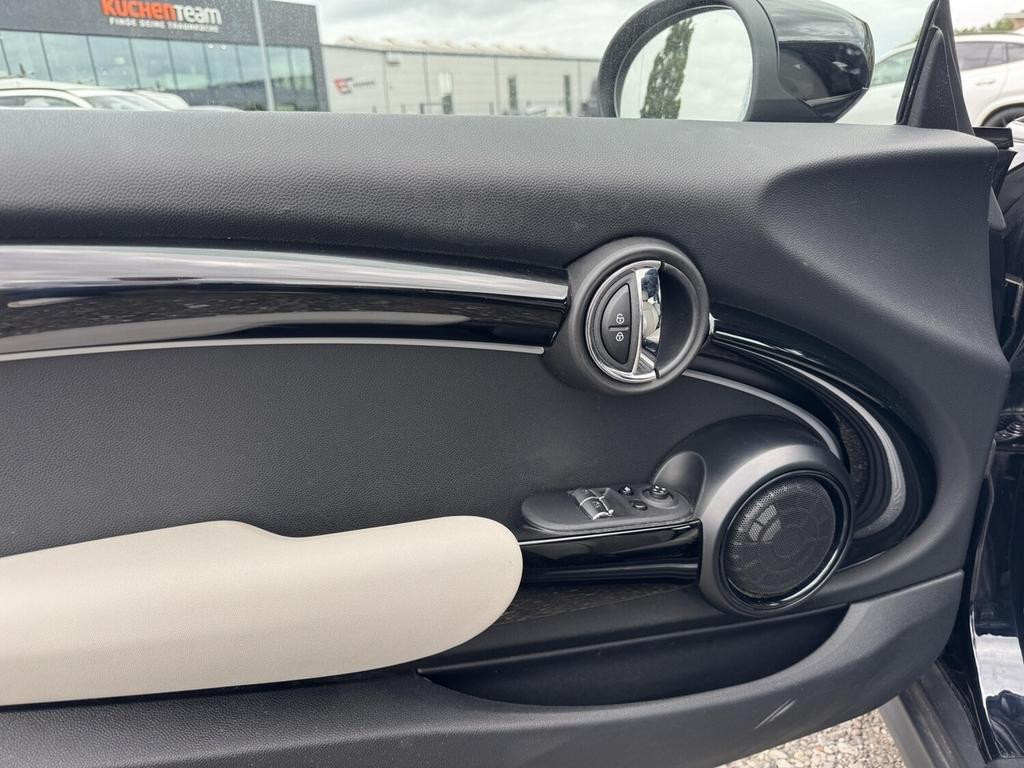Mini Mini Electric