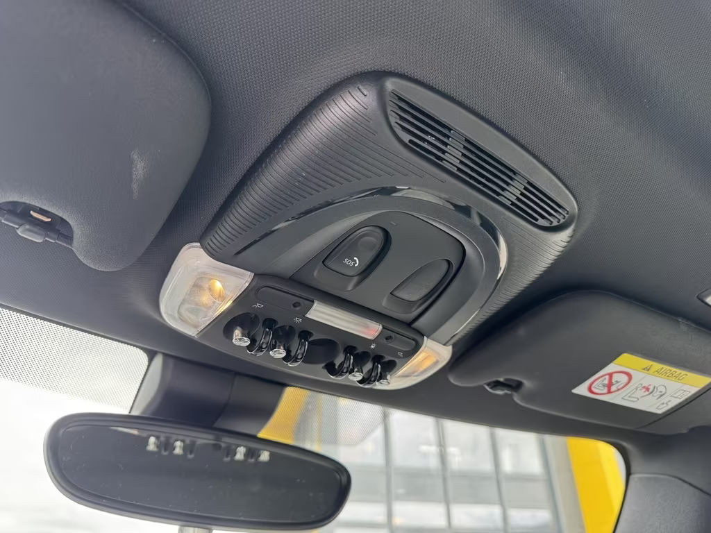 Mini Mini Electric